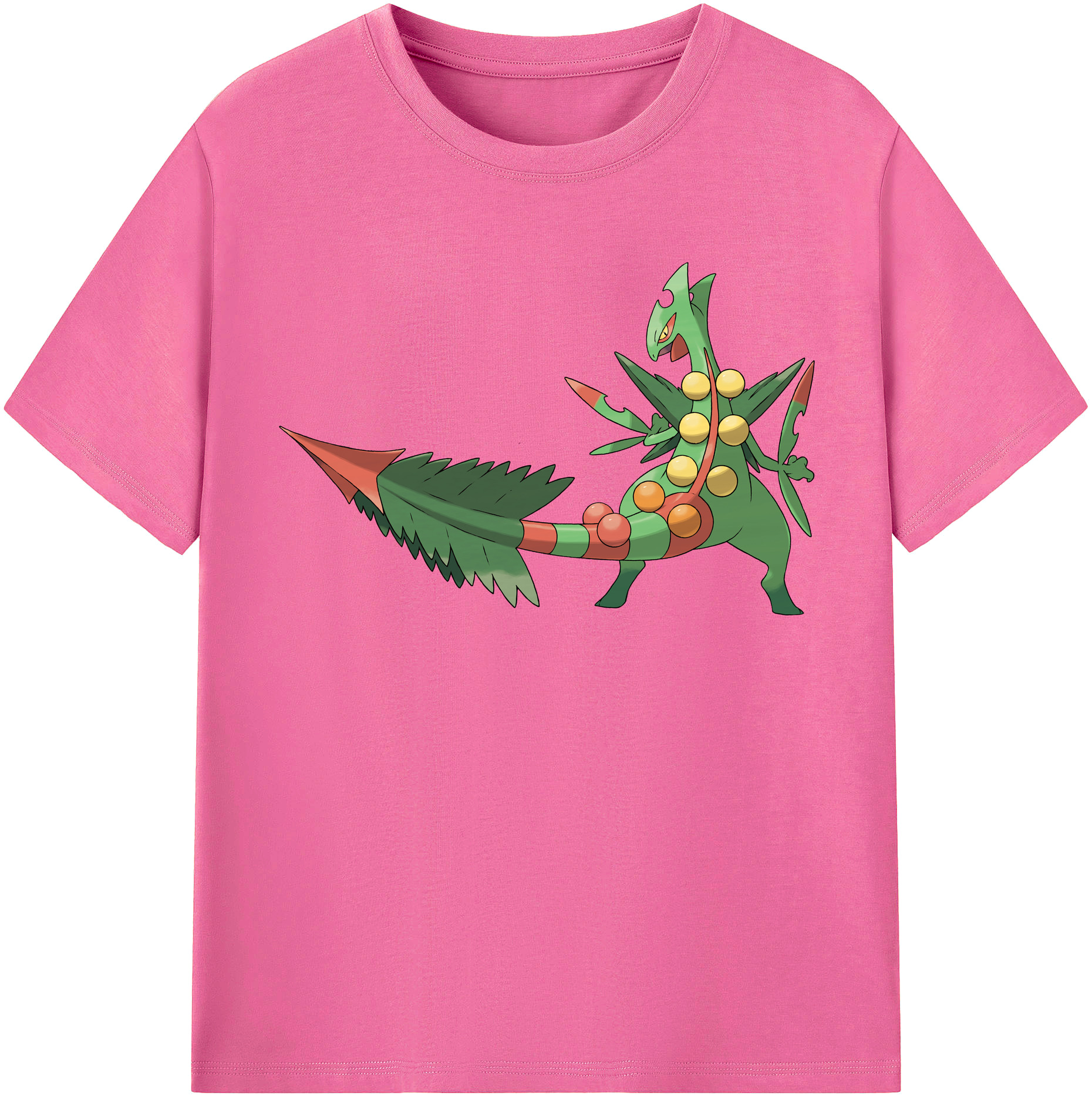 （画像用） ポケットモンスター Pokémon レディースカジュアルプリントTシャツ（綿100％）